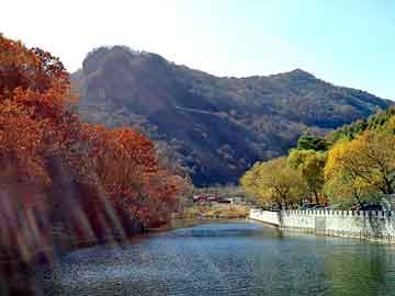 新澳天天开奖资料大全旅游团，原生多晶回收